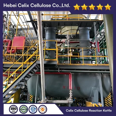 18 years Celix Factory