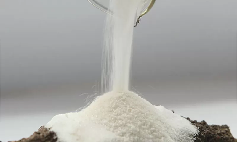 Sodium Gluconate
