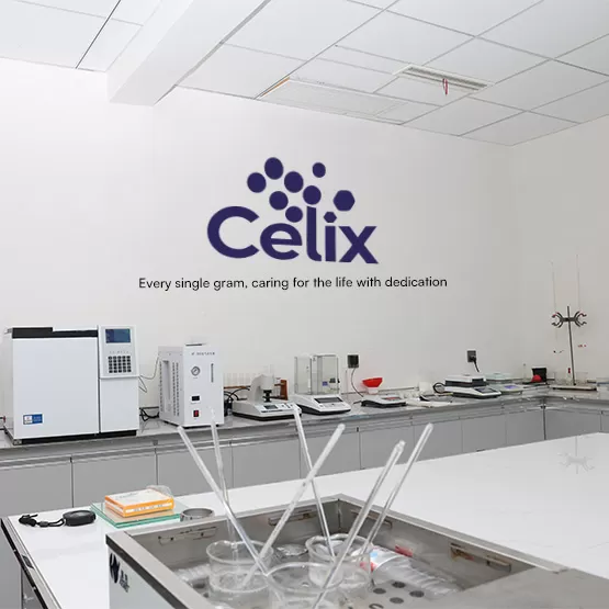 Technical expert at Celix Cellulose verifying batch data on a Certificate of Analysis (COA) for HPMC export
